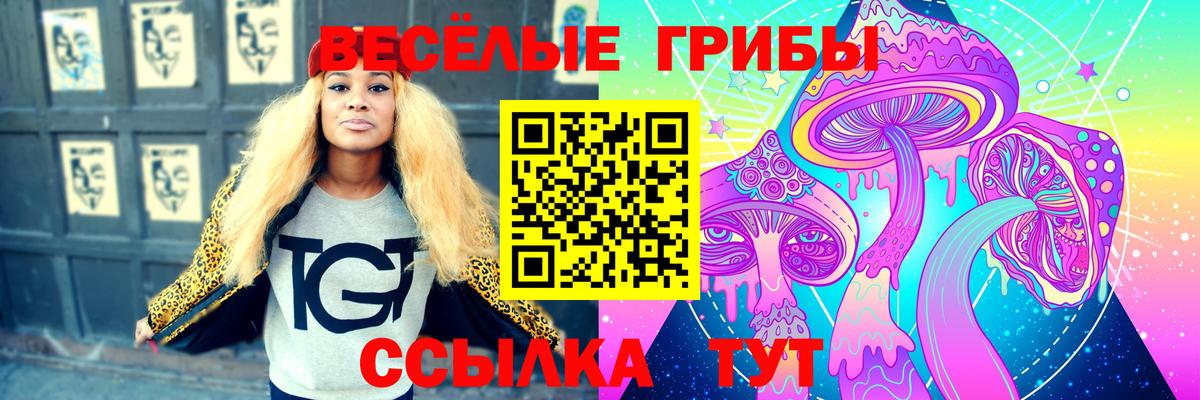 Псилоцибиновые грибы мухоморы Дедовск