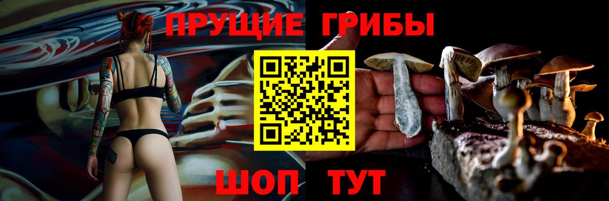 Псилоцибиновые грибы ЛСД  Вход с VPN  Дедовск  купить наркотик  Псилоцибиновые грибы мухоморы 